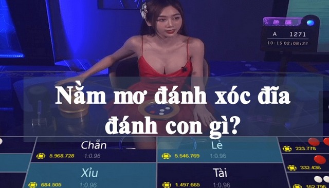 Giải mã giấc mơ đánh xóc đĩa chi tiết nhất